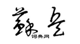 曾慶福蘇兵草書個性簽名怎么寫