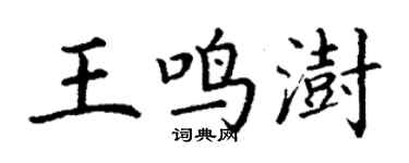 丁謙王鳴澍楷書個性簽名怎么寫