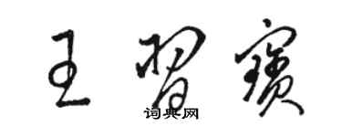 駱恆光王習寶草書個性簽名怎么寫