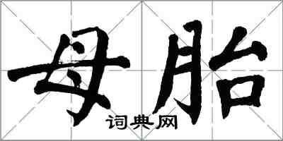 翁闓運母胎楷書怎么寫