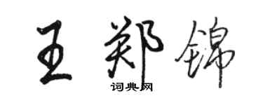 駱恆光王鄭錦行書個性簽名怎么寫