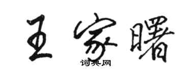 駱恆光王家曙行書個性簽名怎么寫