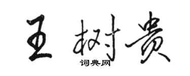 駱恆光王樹貴行書個性簽名怎么寫