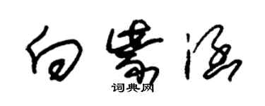 朱錫榮向紫涵草書個性簽名怎么寫