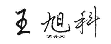 駱恆光王旭科行書個性簽名怎么寫