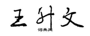 曾慶福王升文行書個性簽名怎么寫