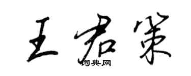 王正良王君策行書個性簽名怎么寫