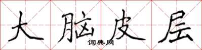 侯登峰大腦皮層楷書怎么寫