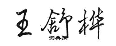 駱恆光王舒樺行書個性簽名怎么寫