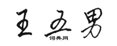 駱恆光王五男行書個性簽名怎么寫