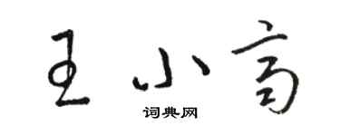 駱恆光王小齊草書個性簽名怎么寫