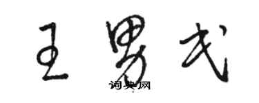 駱恆光王男民草書個性簽名怎么寫