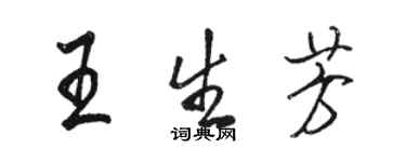 駱恆光王生芳行書個性簽名怎么寫