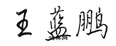 駱恆光王藍鵬行書個性簽名怎么寫