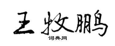 曾慶福王牧鵬行書個性簽名怎么寫