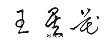 駱恆光王星花草書個性簽名怎么寫