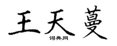 丁謙王天蔓楷書個性簽名怎么寫