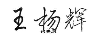 駱恆光王楊輝行書個性簽名怎么寫