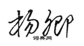 駱恆光楊卿草書個性簽名怎么寫