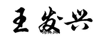 胡問遂王發興行書個性簽名怎么寫