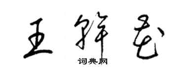 梁錦英王乾花草書個性簽名怎么寫