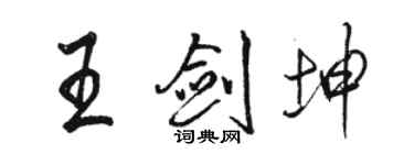 駱恆光王劍坤行書個性簽名怎么寫