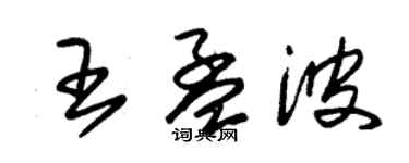 朱錫榮王孟波草書個性簽名怎么寫