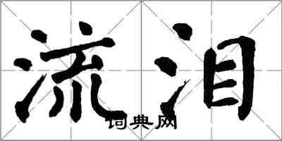 翁闓運流淚楷書怎么寫