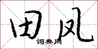 田鳳怎么寫好看