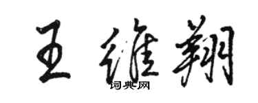 駱恆光王維翔行書個性簽名怎么寫