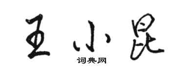 駱恆光王小昆行書個性簽名怎么寫