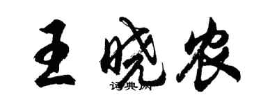 胡問遂王曉農行書個性簽名怎么寫