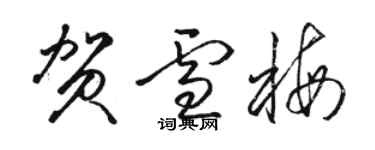 駱恆光賀雪梅草書個性簽名怎么寫