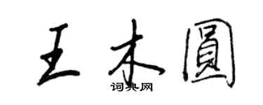 王正良王木圓行書個性簽名怎么寫