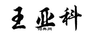 胡問遂王亞科行書個性簽名怎么寫
