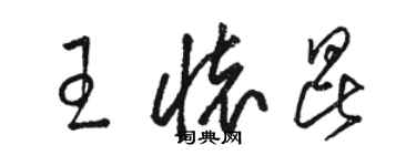 駱恆光王懷昆草書個性簽名怎么寫