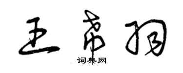 曾慶福王希羽草書個性簽名怎么寫