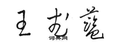 駱恆光王武藍草書個性簽名怎么寫