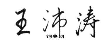 駱恆光王沛濤行書個性簽名怎么寫