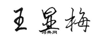 駱恆光王顯梅行書個性簽名怎么寫