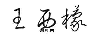駱恆光王西檬草書個性簽名怎么寫
