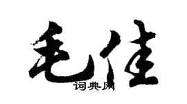 胡問遂毛佳行書個性簽名怎么寫