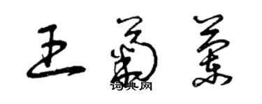 曾慶福王菊蘭草書個性簽名怎么寫