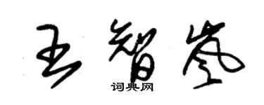 朱錫榮王智嵐草書個性簽名怎么寫