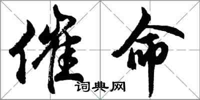 胡問遂催命行書怎么寫