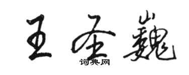 駱恆光王聖巍行書個性簽名怎么寫