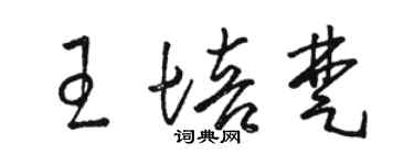 駱恆光王培楚草書個性簽名怎么寫