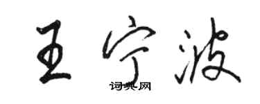 駱恆光王寧波行書個性簽名怎么寫