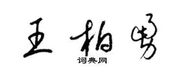 梁錦英王柏勇草書個性簽名怎么寫