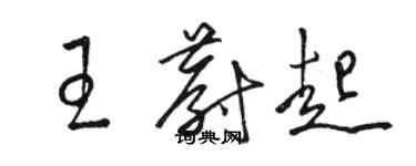 駱恆光王蔚起草書個性簽名怎么寫